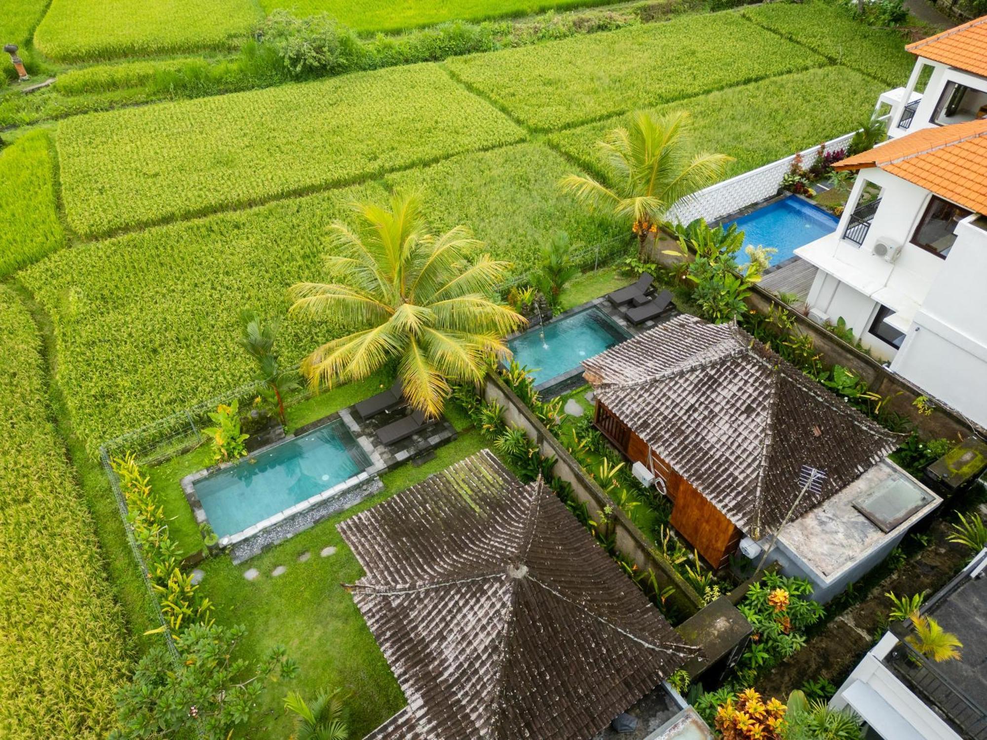 Mardika Private Villa أوبود المظهر الخارجي الصورة